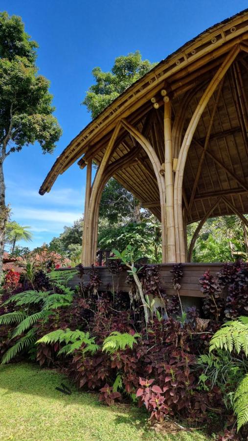 Hotel Sava Eco Retreat Padangan  Zewnętrze zdjęcie