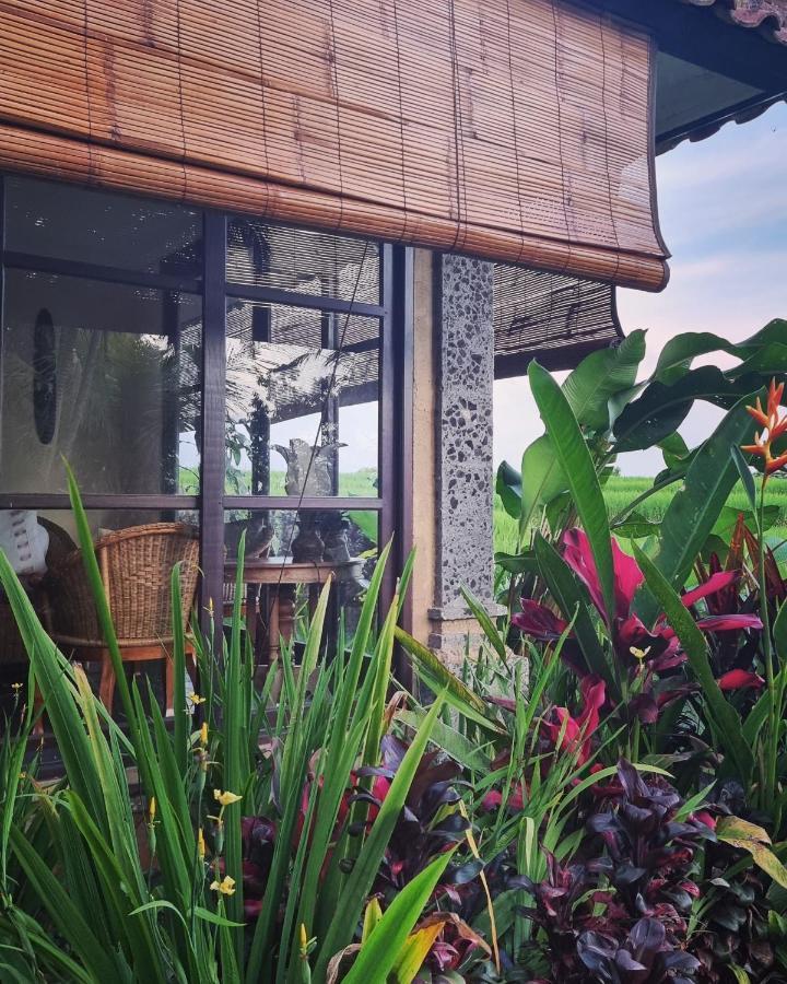 Hotel Sava Eco Retreat Padangan  Zewnętrze zdjęcie