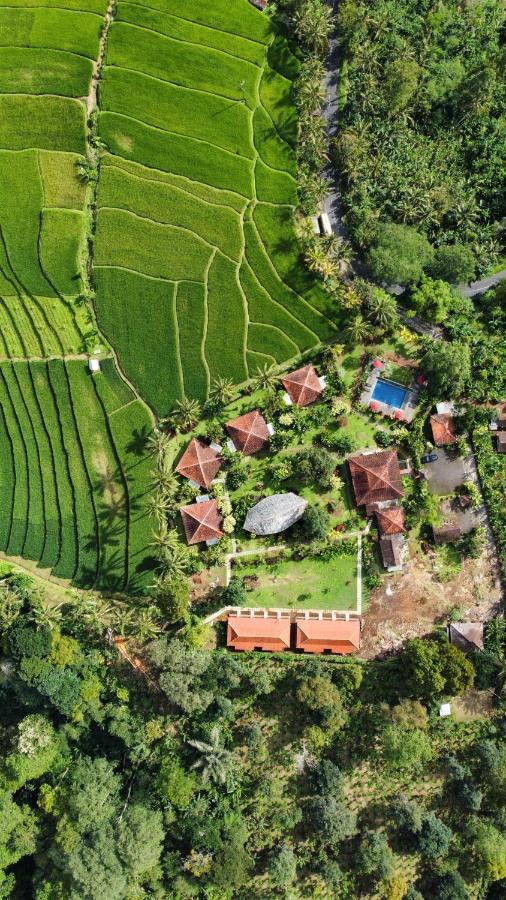 Hotel Sava Eco Retreat Padangan  Zewnętrze zdjęcie
