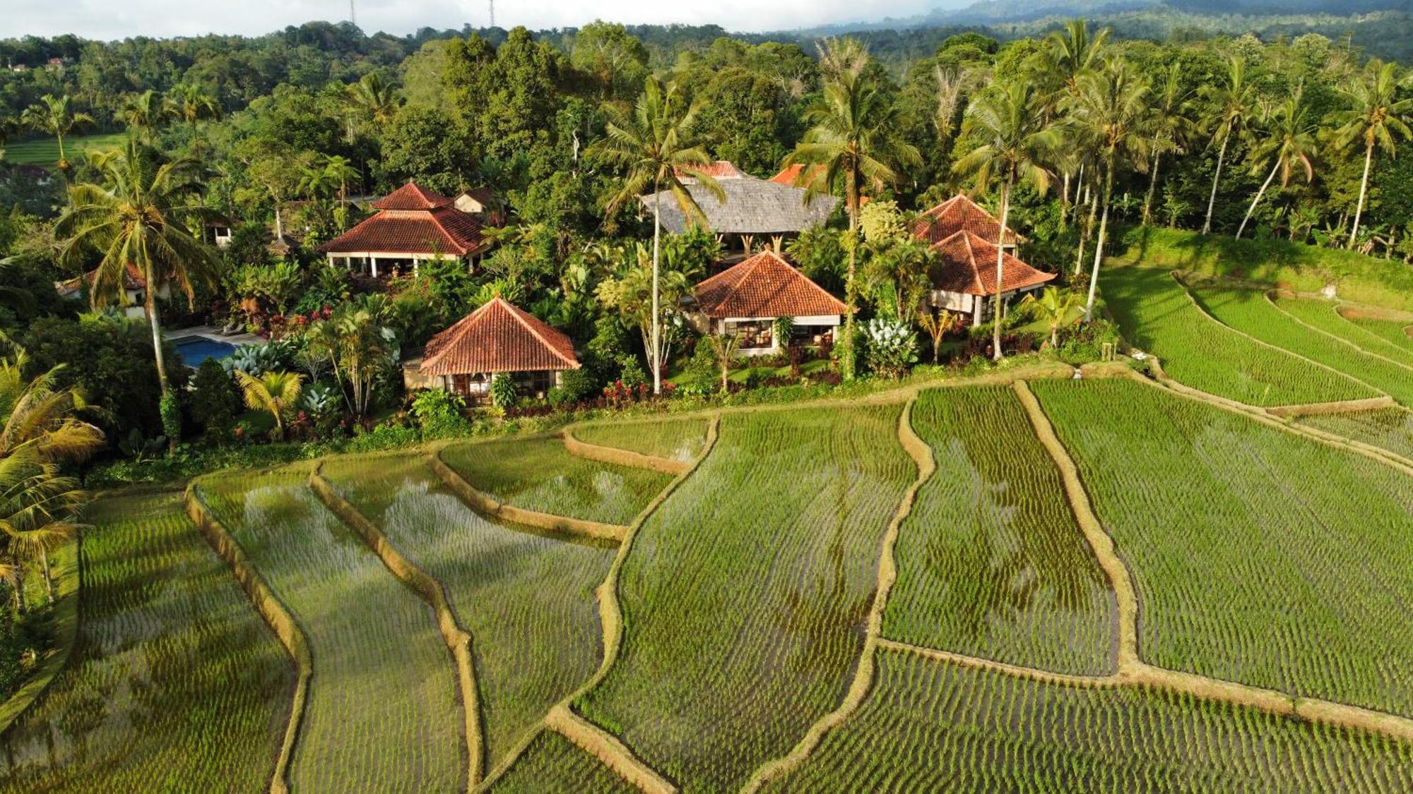 Hotel Sava Eco Retreat Padangan  Zewnętrze zdjęcie
